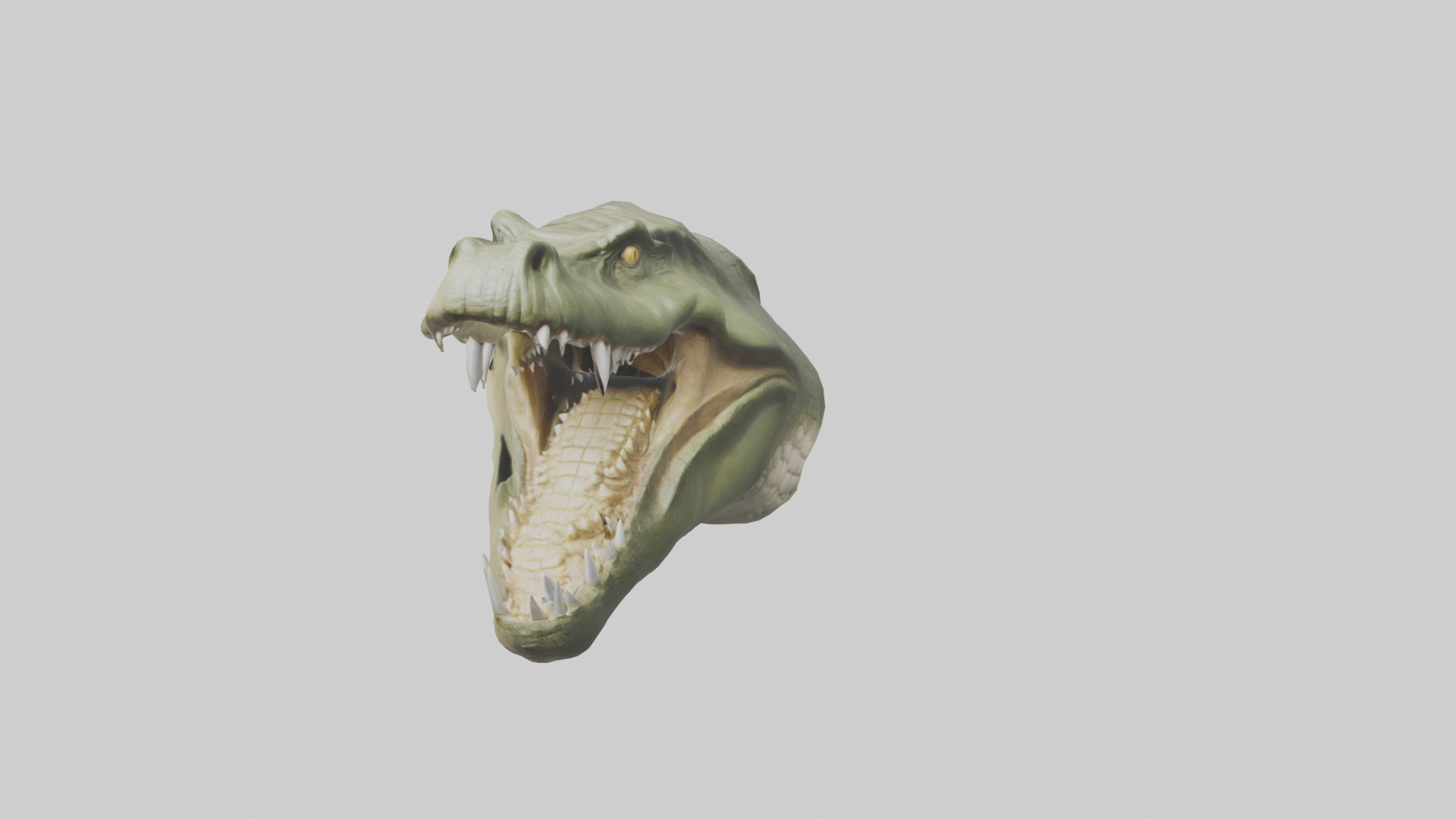 Crocodile Jaws Model Low-poly 3D model_18