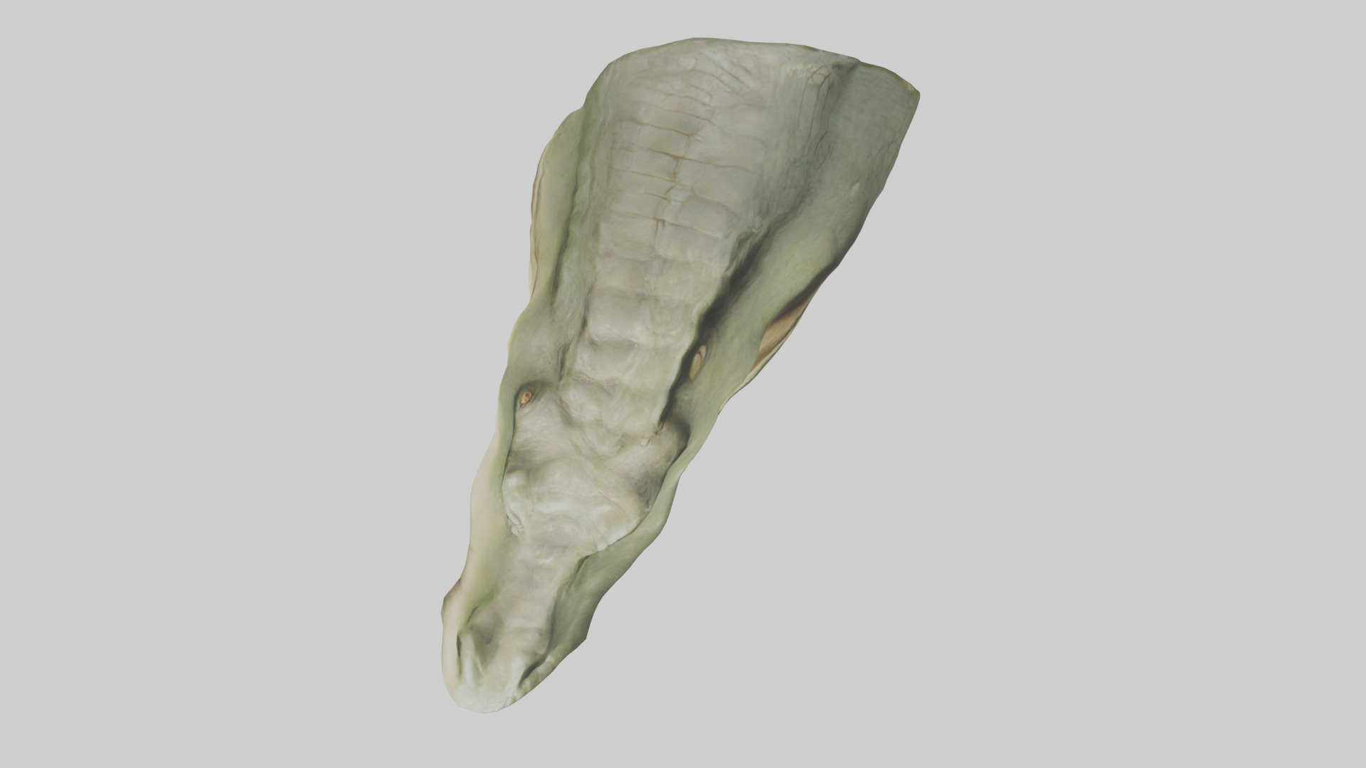 Crocodile Jaws Model Low-poly 3D model_24