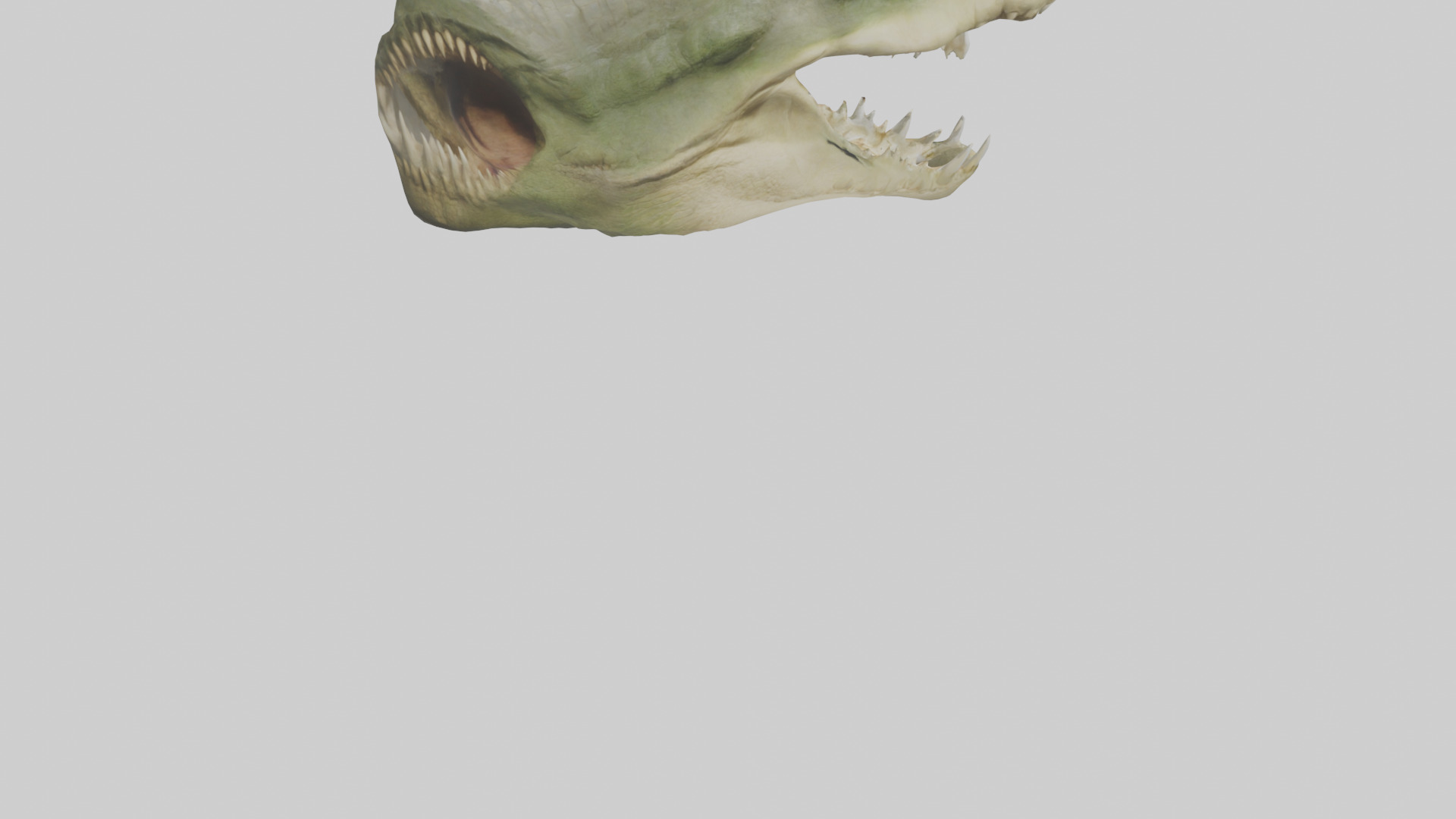 Crocodile Jaws Model Low-poly 3D model_7