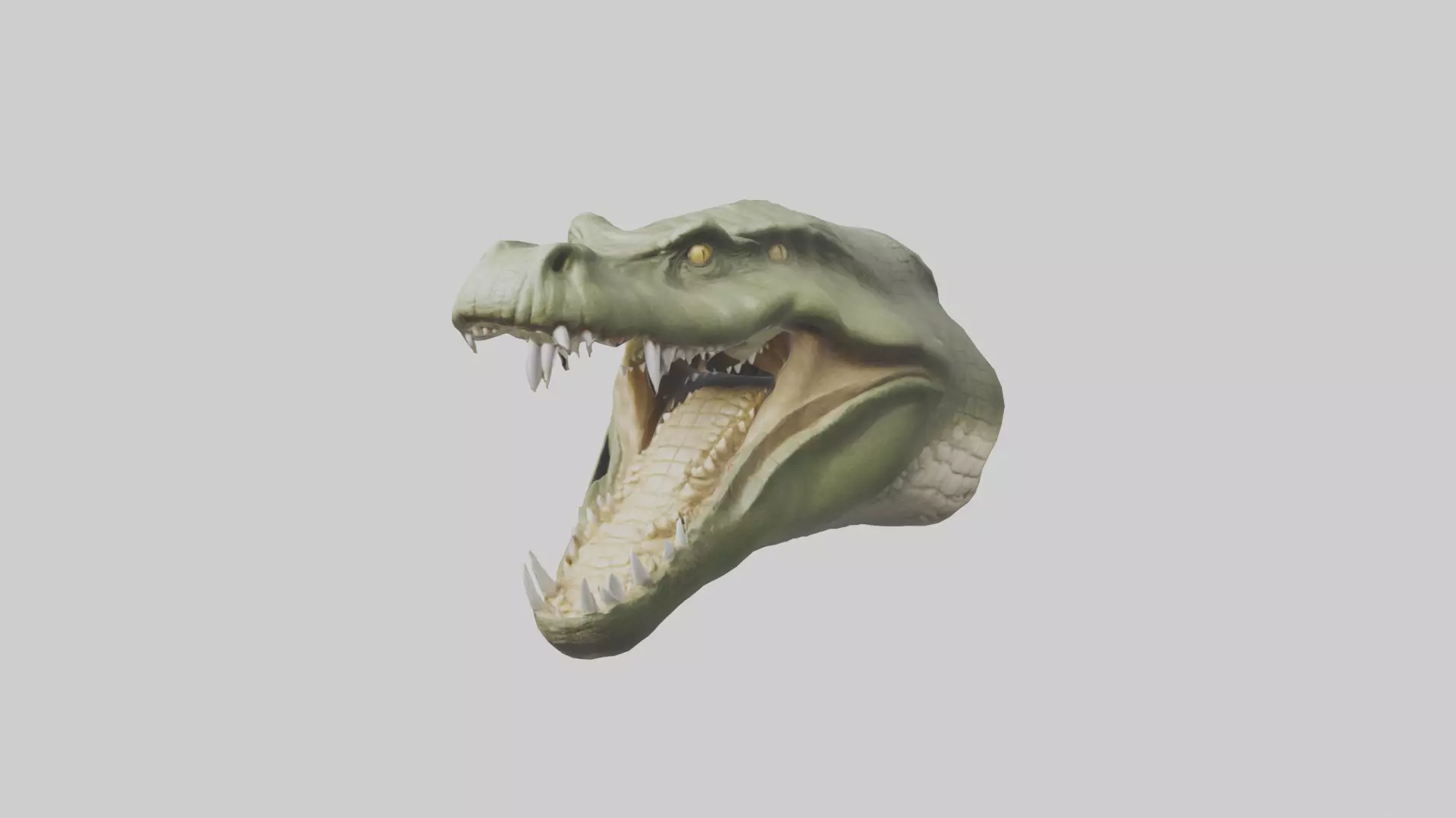 Crocodile Jaws Model Low-poly 3D model_0