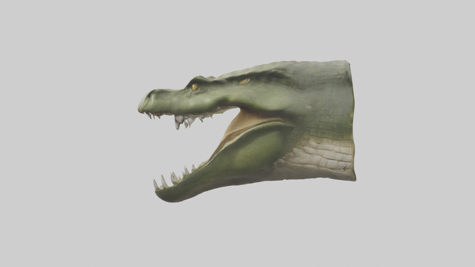 Crocodile Jaws Model Low-poly 3D model_22