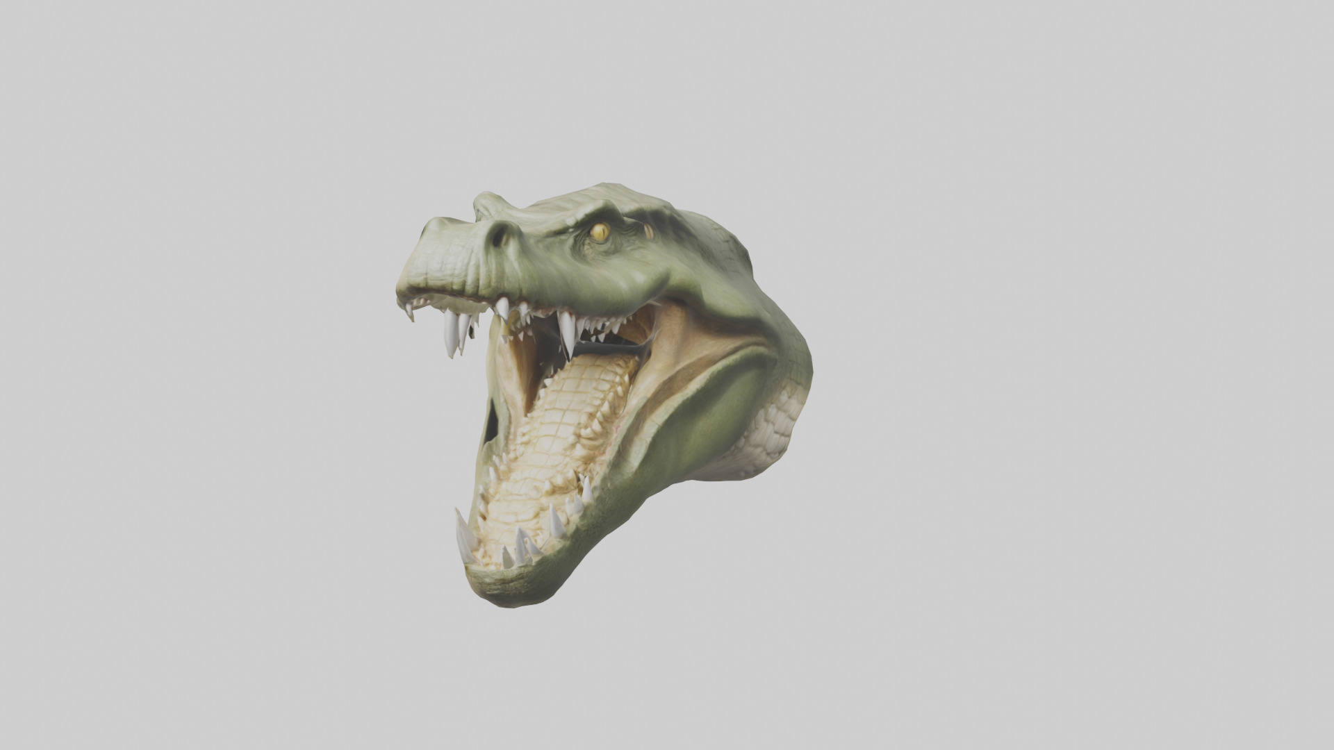 Crocodile Jaws Model Low-poly 3D model_17