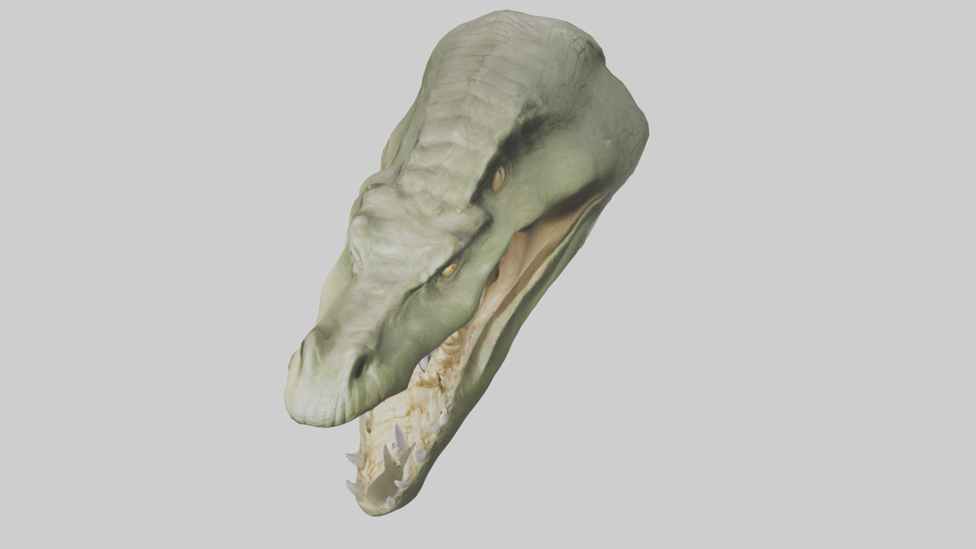 Crocodile Jaws Model Low-poly 3D model_26