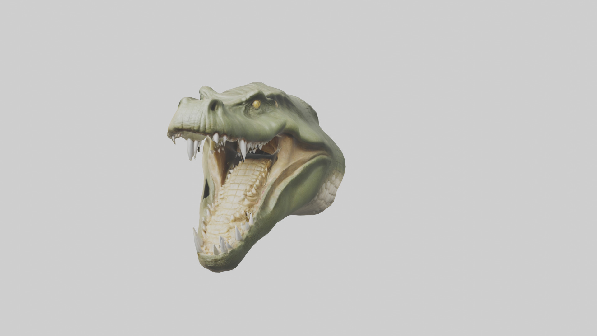Crocodile Jaws Model Low-poly 3D model_20