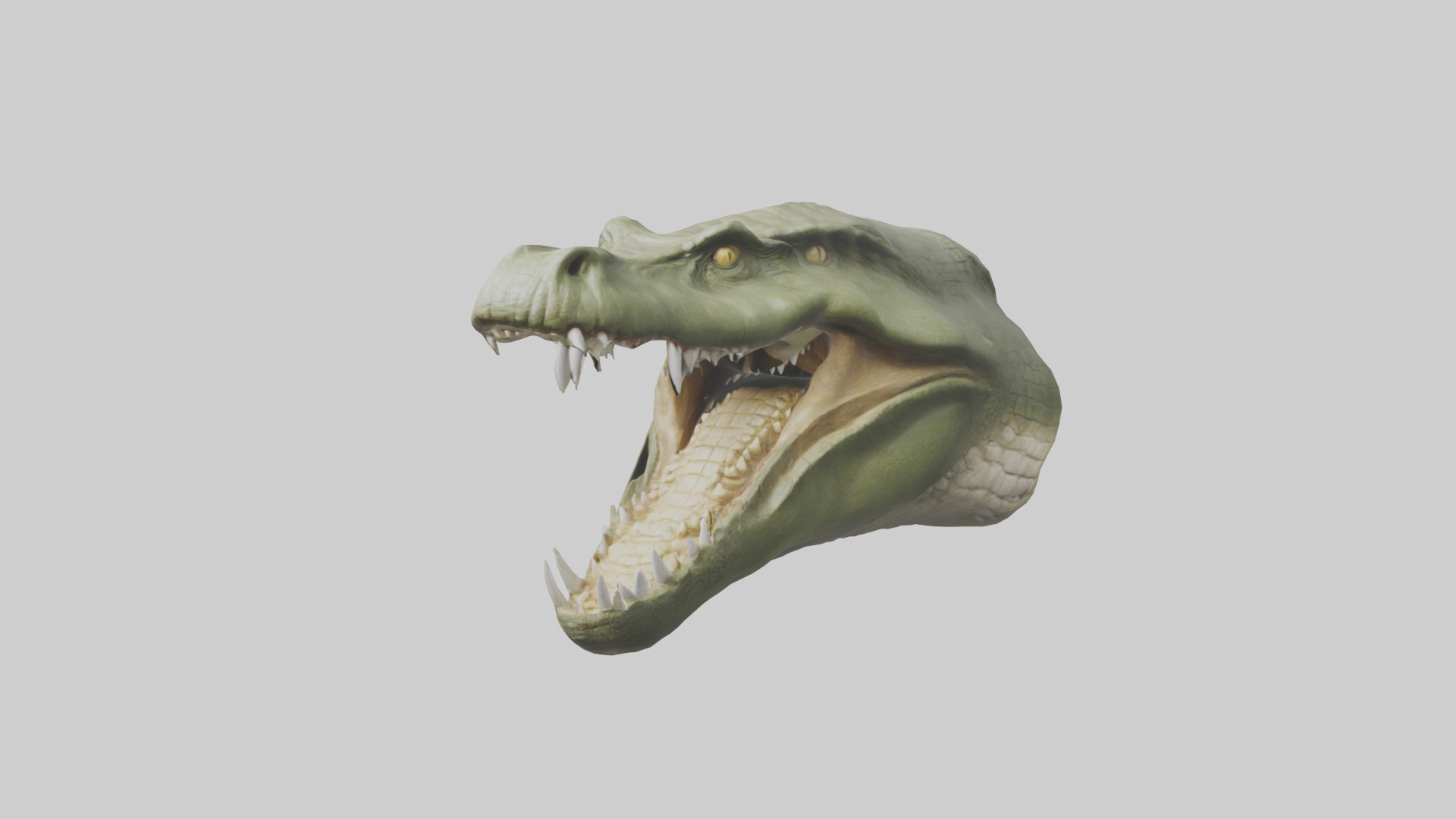 Crocodile Jaws Model Low-poly 3D model_13