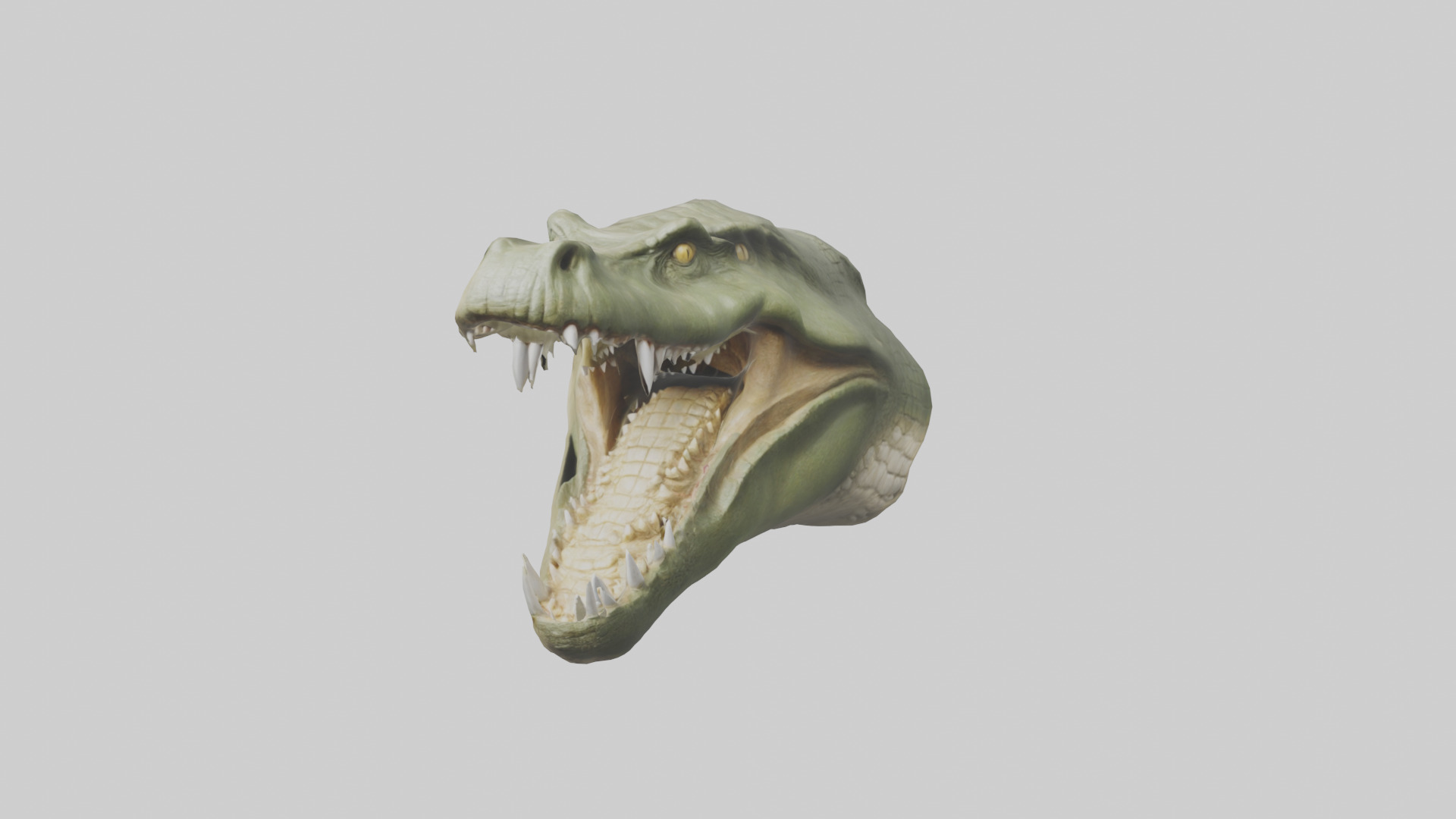 Crocodile Jaws Model Low-poly 3D model_19