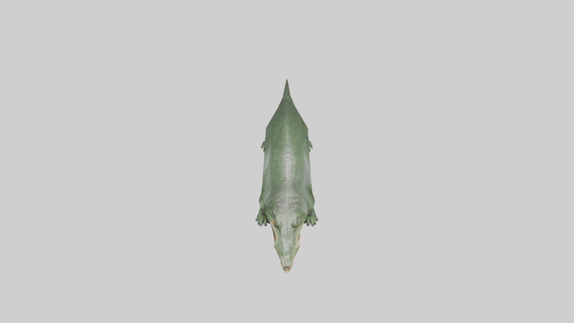 Crocodile Scales Model Low-poly 3D model_26