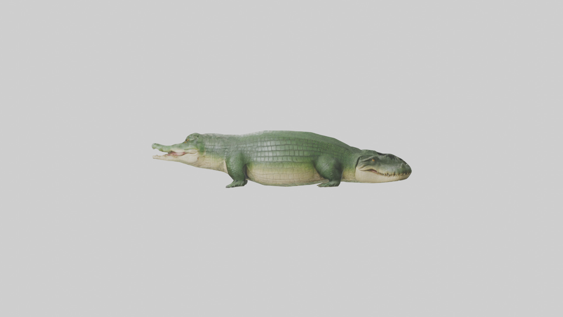 Crocodile Scales Model Low-poly 3D model_22
