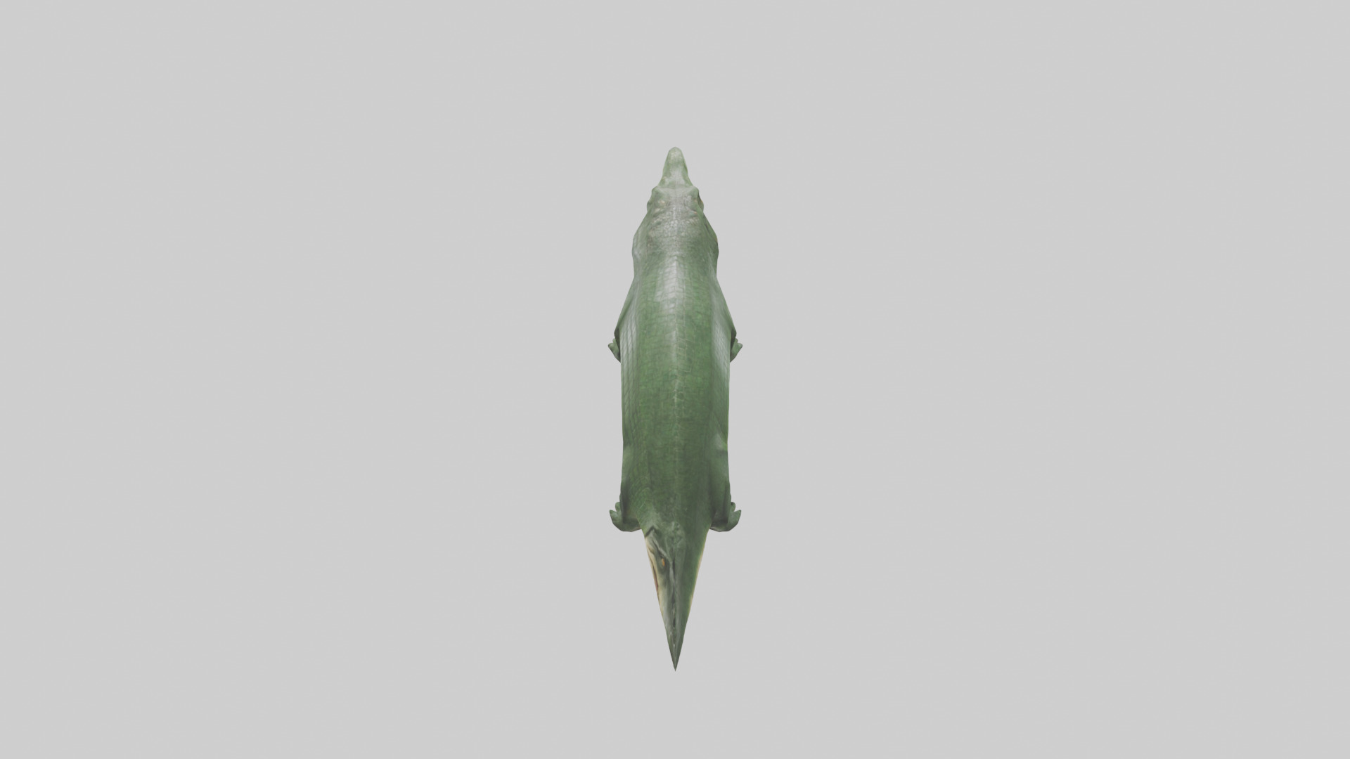 Crocodile Scales Model Low-poly 3D model_25