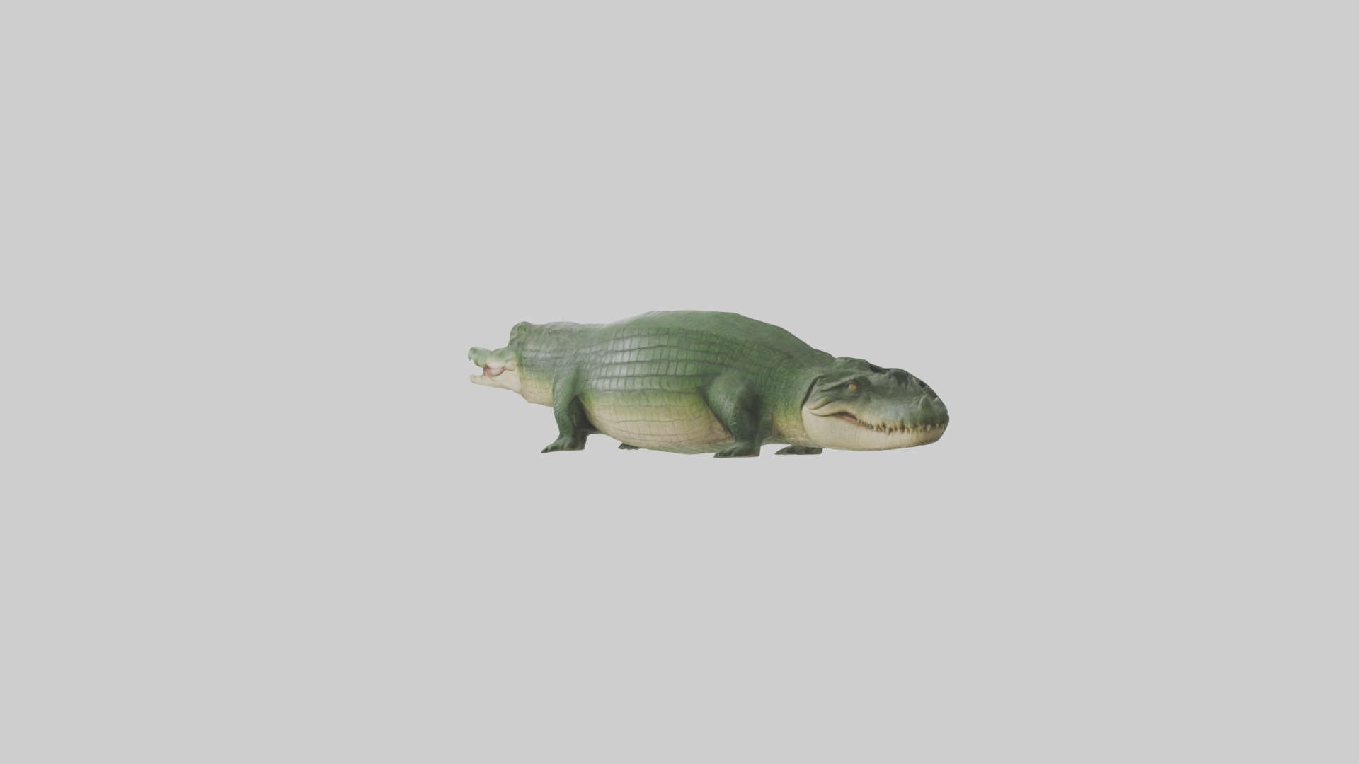Crocodile Scales Model Low-poly 3D model_2