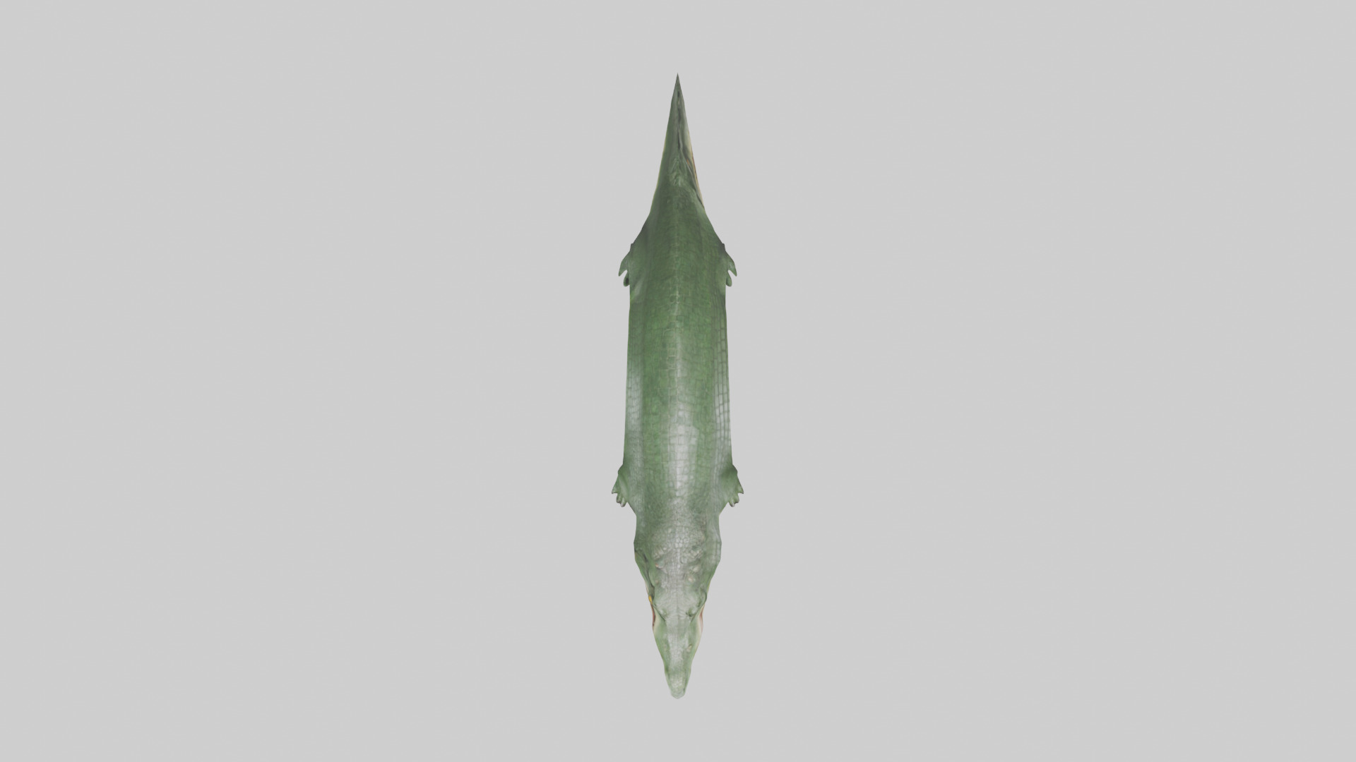Crocodile Scales Model Low-poly 3D model_24