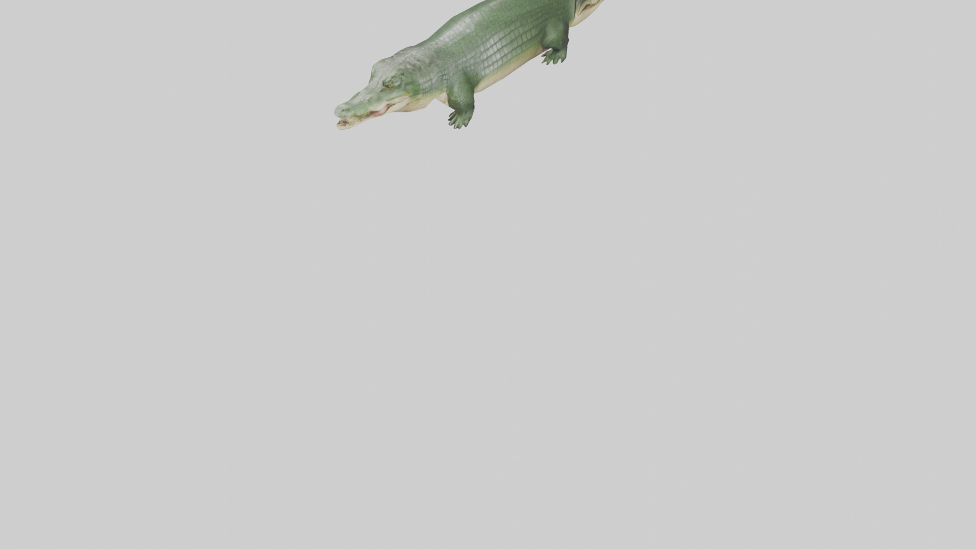 Crocodile Scales Model Low-poly 3D model_6