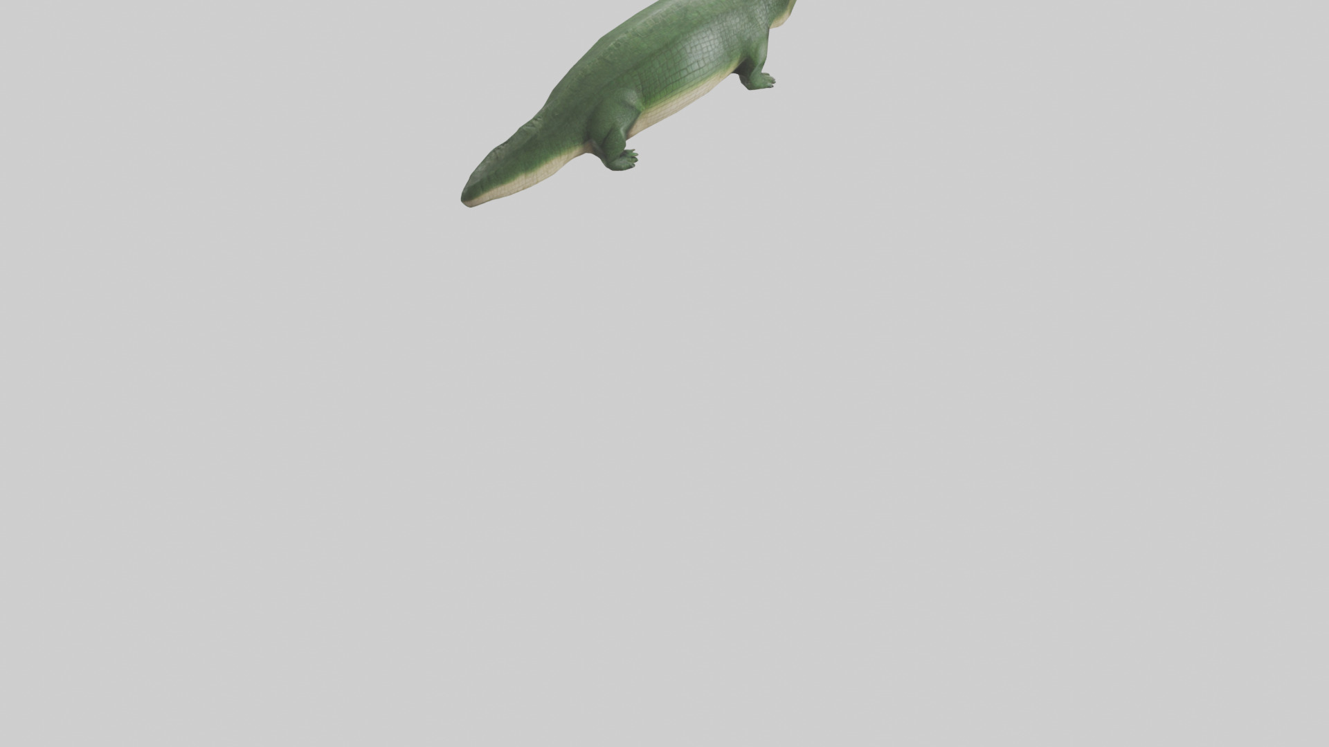 Crocodile Scales Model Low-poly 3D model_5