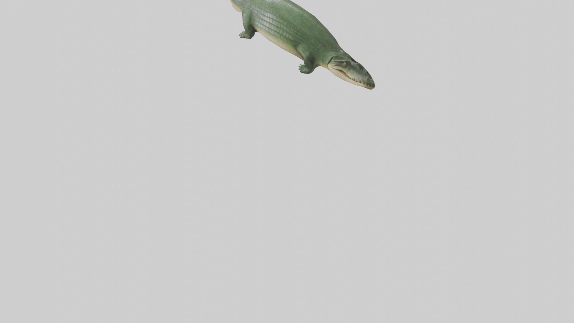 Crocodile Scales Model Low-poly 3D model_4