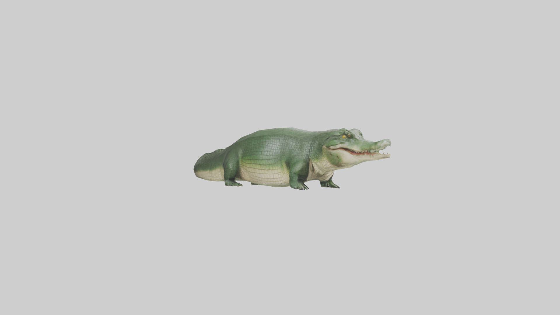 Crocodile Scales Model Low-poly 3D model_8
