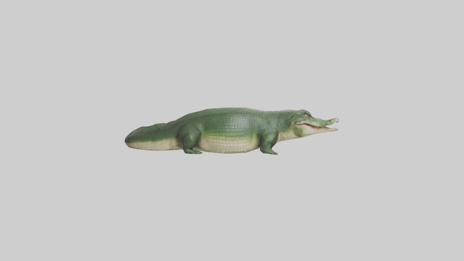 Crocodile Scales Model Low-poly 3D model_23