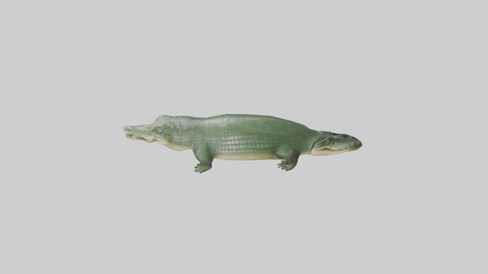 Crocodile Scales Model Low-poly 3D model_27