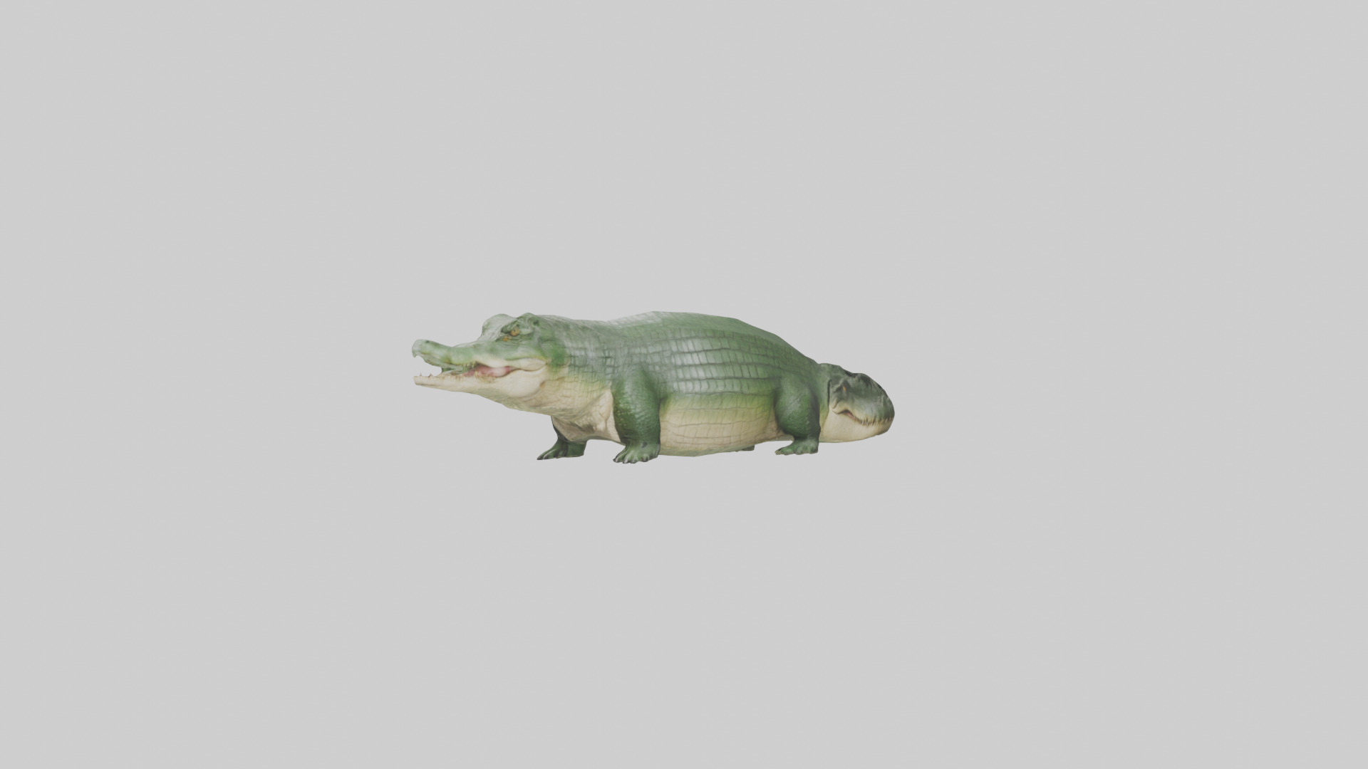 Crocodile Scales Model Low-poly 3D model_9