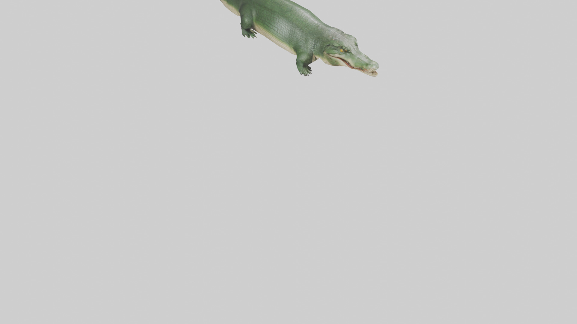 Crocodile Scales Model Low-poly 3D model_7