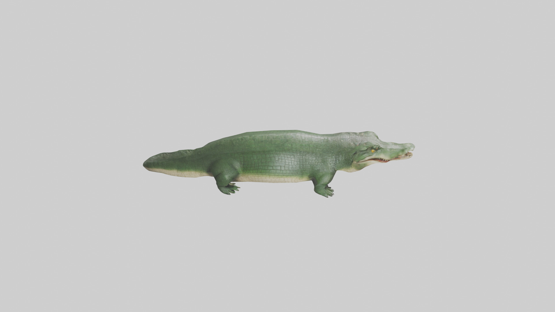 Crocodile Scales Model Low-poly 3D model_28