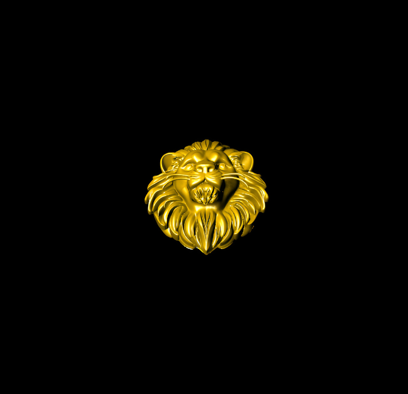 Lion head 3D print model_6