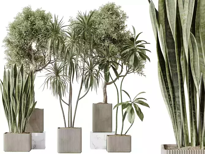 AV Indoor plants set 193