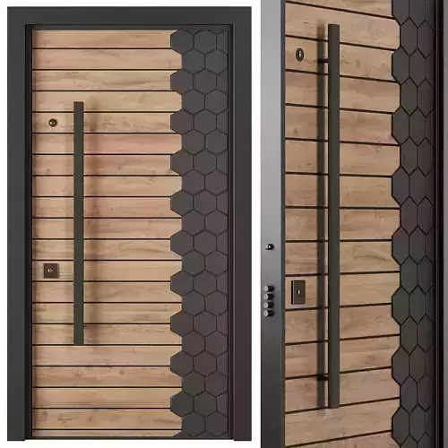 Entrance door set43 3D model