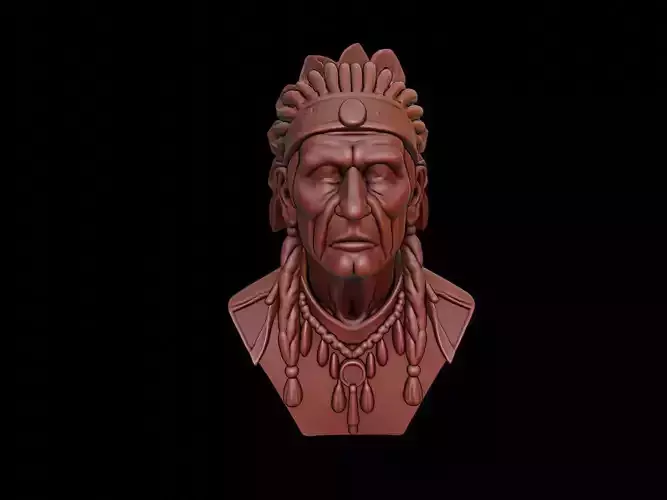 Native American Bust