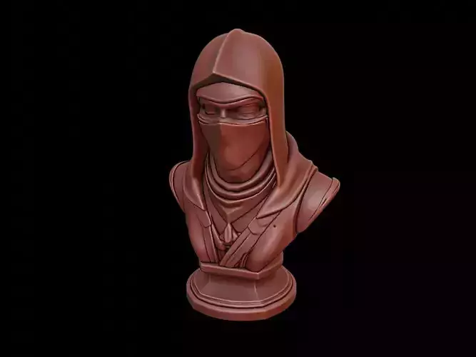 Ninja Bust