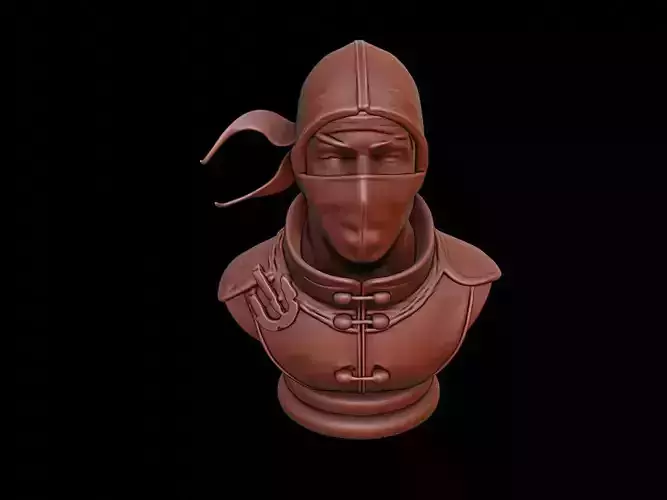 Ninja Bust
