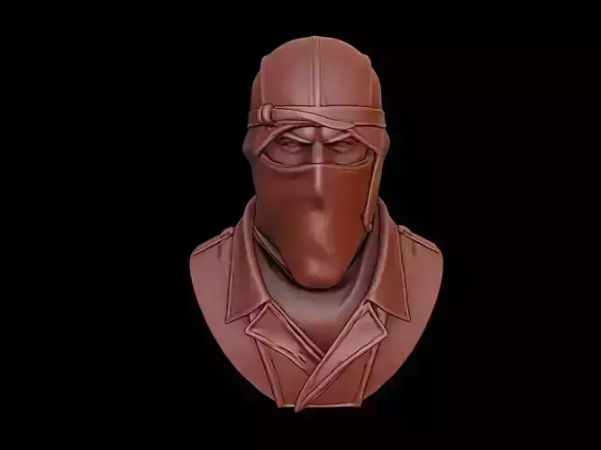 Ninja Bust