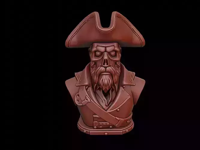Pirate Bust