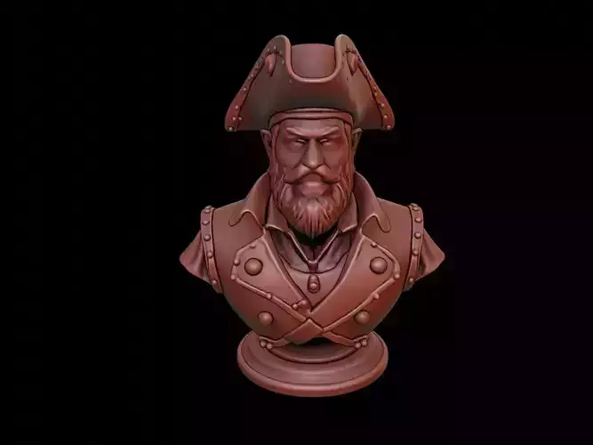 Pirate Bust
