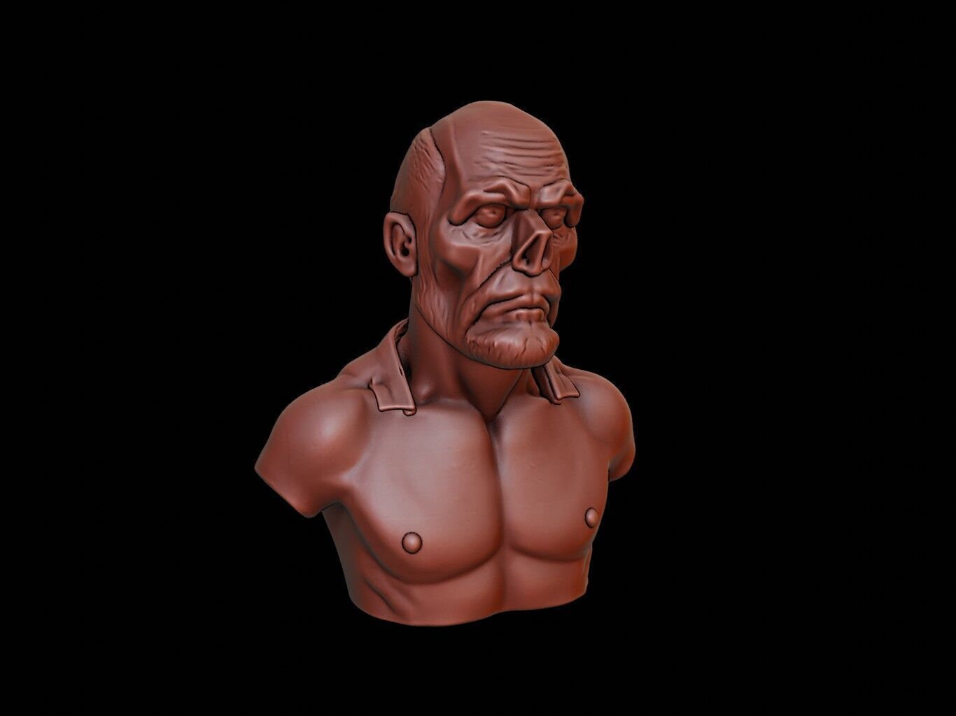 Post-Apocalyptic Survivor Bust 3D print model_1