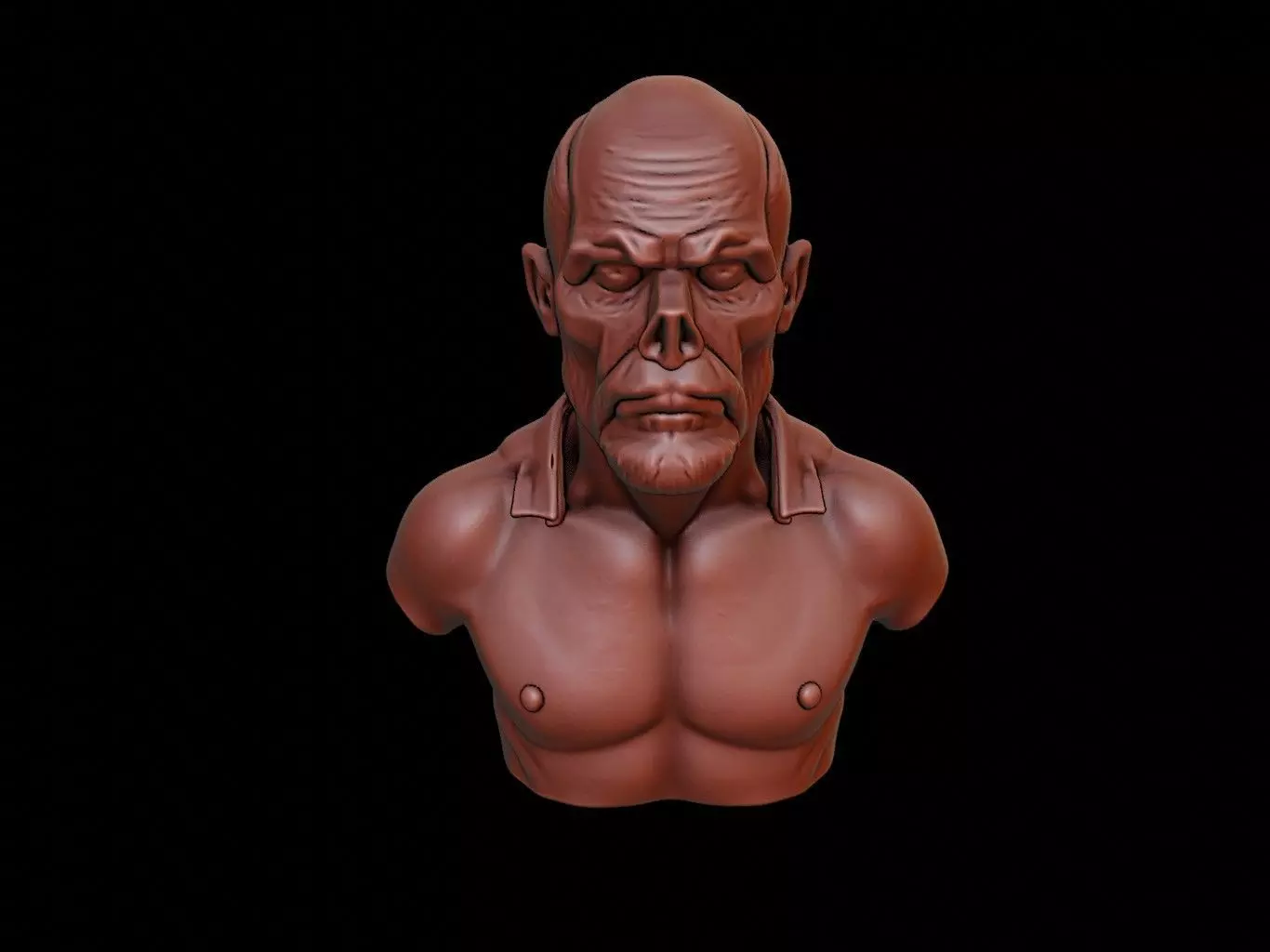Post-Apocalyptic Survivor Bust 3D print model_0