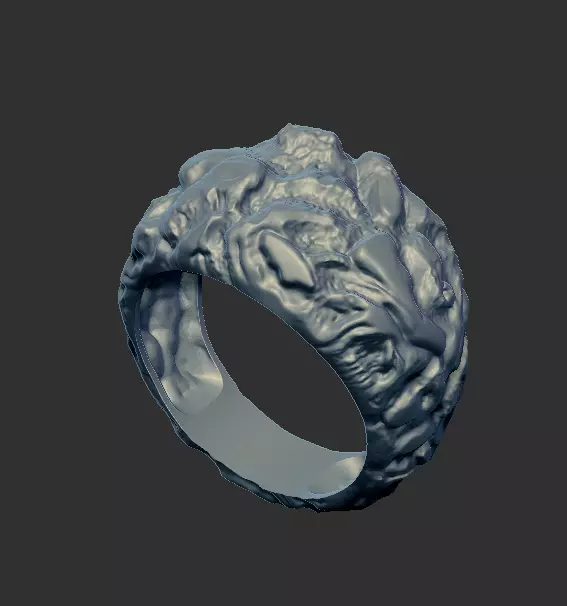 Ring 91434 3D print model_0