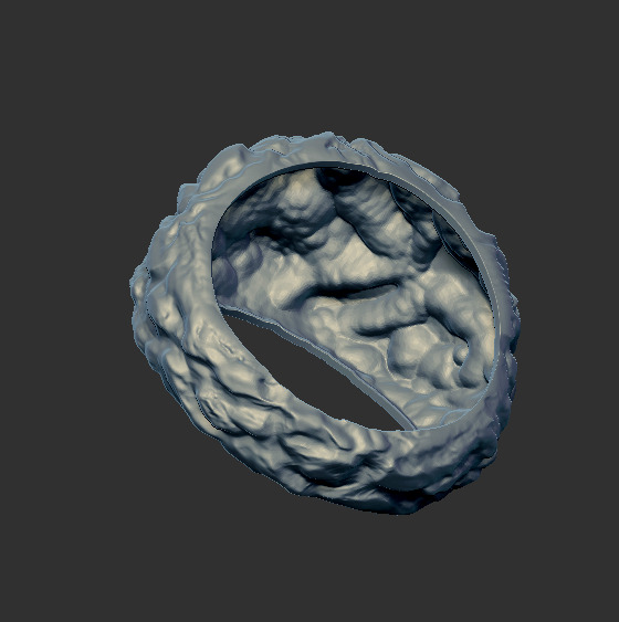 Ring 91434 3D print model_4