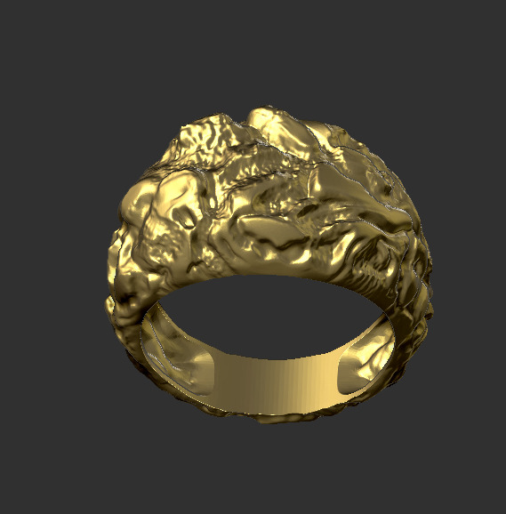 Ring 91434 3D print model_6