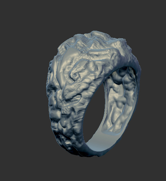 Ring 91434 3D print model_2