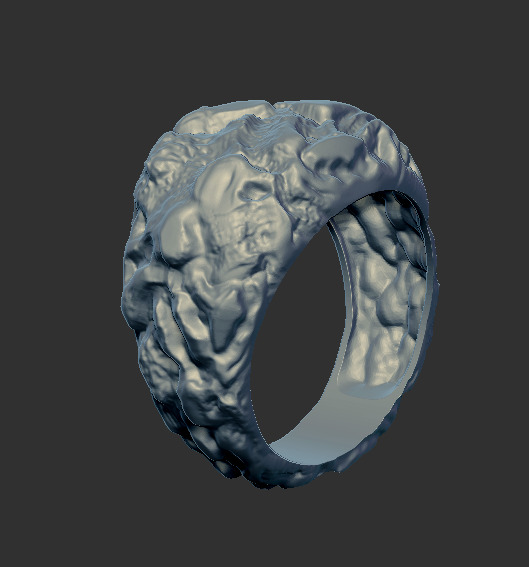Ring 91434 3D print model_3