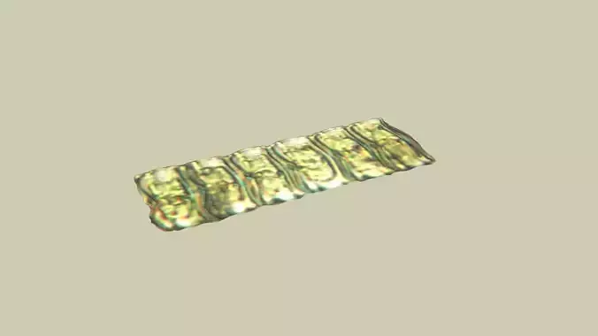 Square Diatom 3D model