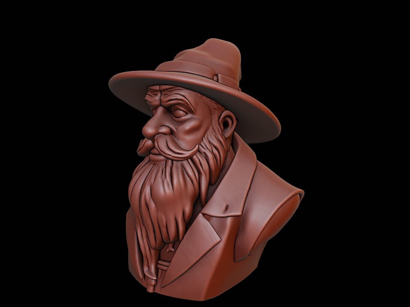 Wizard Bust 3D print model_2