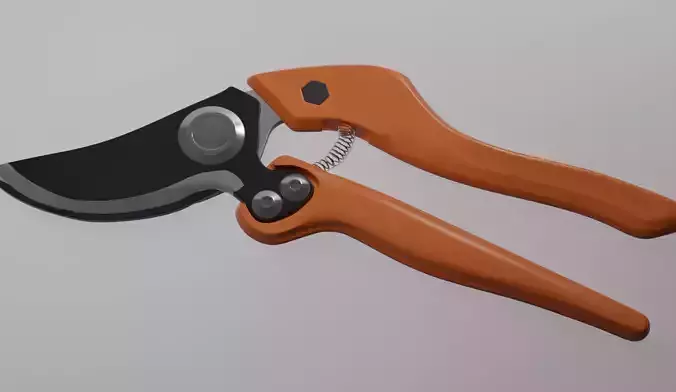 Garden Shears