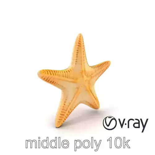 Starfish Natural Shape Marine Model Pack Low-poly 3D model