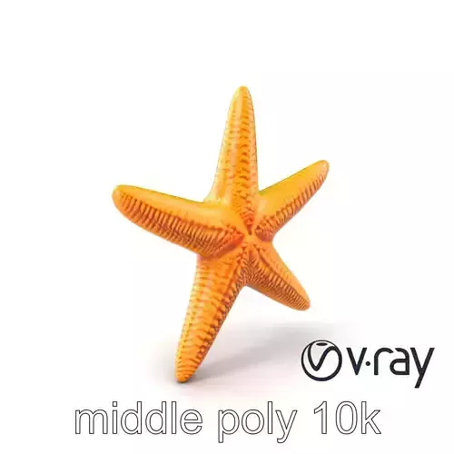 Realistic Starfish Marine Life model pack Low-poly 3D model