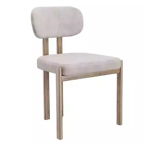 Exquisite Dining Chair
