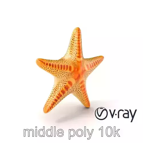 Realistic Starfish Marine Sculpture model pack Low-poly 3D model