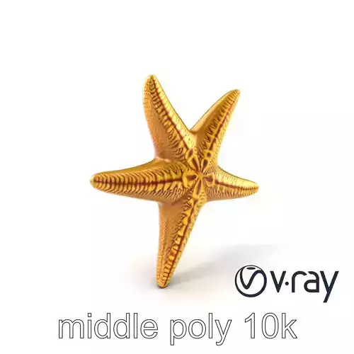Realistic Textured Starfish Marine Model Pack Low-poly 3D model