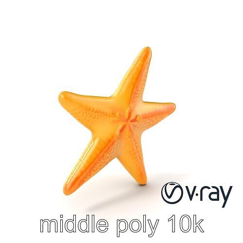 Starfish Natural Color Detailed Shape model pack Low-poly 3D model