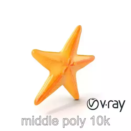 Starfish Natural Color Detailed Shape model pack Low-poly 3D model